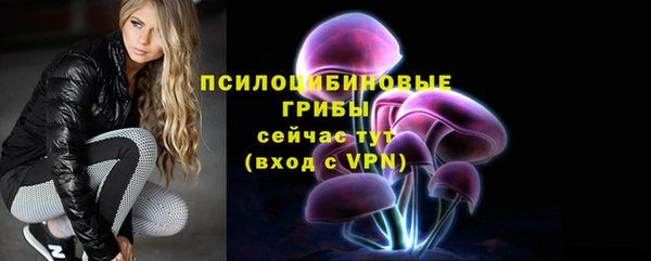 СК Краснослободск