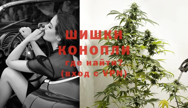 СК Краснослободск