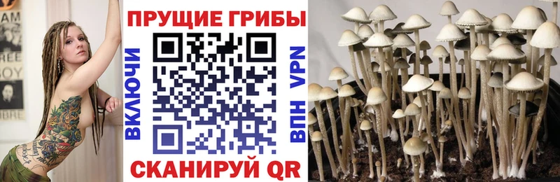 Псилоцибиновые грибы прущие грибы  Купить где  Анива 